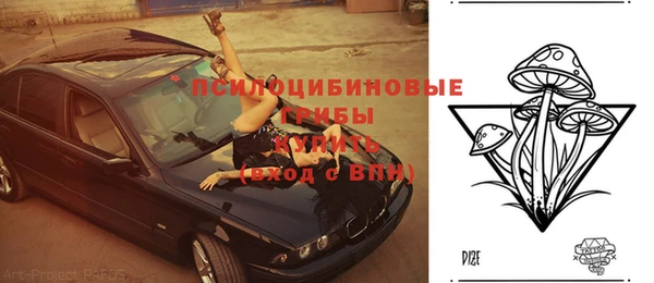 стафф Алзамай