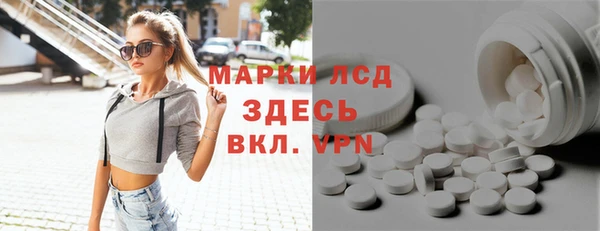 стафф Алзамай